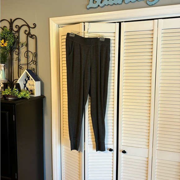 Gaiam Women Nirvana East Fit Joggers SZ LG NWT - Picture 3 of 9